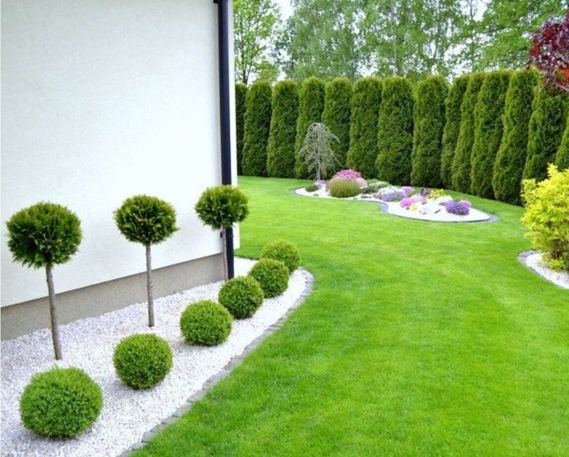 Trädgård